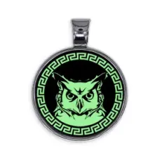 Светящийся амулет Сова ALE556