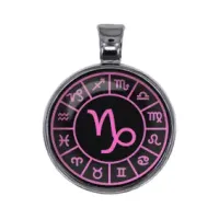 Амулет Знаки Зодиака - Козерог ALE610