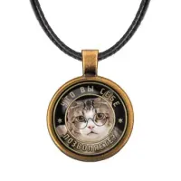 Кулон Что вы себе позволяете? ALKF0375