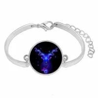 Металлический браслет Знаки Зодиака - Козерог BS263-09