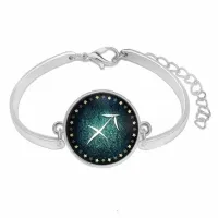 Металлический браслет Знаки Зодиака - Стрелец BS264-04