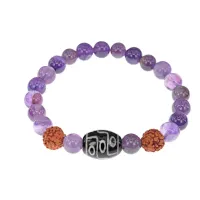 Браслет с 9-глазой Дзи, нат. рудракшей и синт. камнем Аметист BSDR-01-03