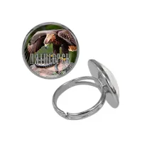 Кольцо металлическое, цвет серебро, Пятигорск C0803015