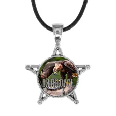 Звезда-кулон, металл, Пятигорск C0803064