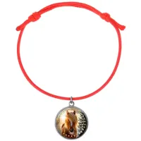 Браслет из красного шнура, Год Лошади C0901052
