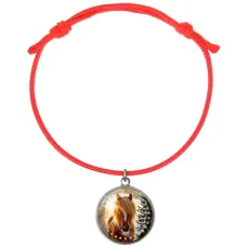 Браслет из красного шнура, Год Лошади C0901052