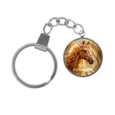 Брелок, нержавеющая сталь, с кольцом для ключей, Год Лошади C0902061