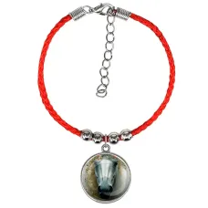 Браслет из красного шнура, Лошадка в тумане C0904047