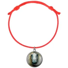 Браслет из красного шнура, Лошадка в тумане C0904052