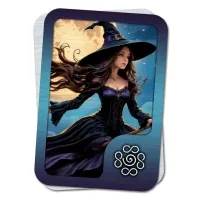 Магнит Ведьмина руна Полет M-YAN611