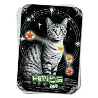 Карта-амулет Zodiac Cats - Созвездие Овна YAN727