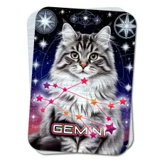 Карта-амулет Zodiac Cats - Созвездие Близнецов YAN729