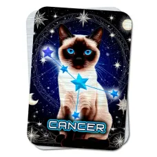 Карта-амулет Zodiac Cats - Созвездие Рака YAN730