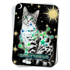 Карта-амулет Zodiac Cats - Созвездие Стрельца YAN735