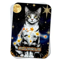 Карта-амулет Zodiac Cats - Созвездие Водолея YAN737