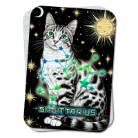 Карта-амулет Zodiac Cats - Созвездие Стрельца M-YAN735