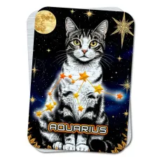 Карта-амулет Zodiac Cats - Созвездие Водолея M-YAN737