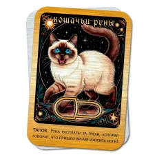 Магнит Кошачьи руны - Тапок M-YAN770