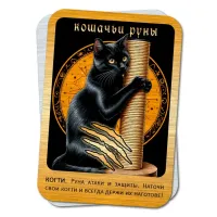 Магнит Кошачьи руны - Когти M-YAN776