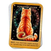 Магическая карта Кошачьи руны - Хвост YAN765