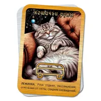 Магическая карта Кошачьи руны - Лежанка YAN778