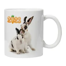 Кружка Кролики KRU337