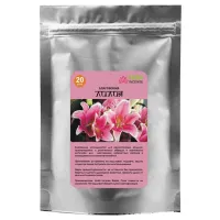 Благовония конусные 2,5 см, Лилия BCN013-10