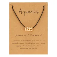 Браслет на черной нити Знаки Зодиака - Водолей BS492-11