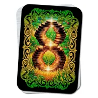 Магический магнит Бесконечное изобилие M-YAN902