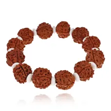 Браслет из рудракши, 18мм BS254-2