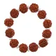 Браслет из рудракши, 18мм BS254-2