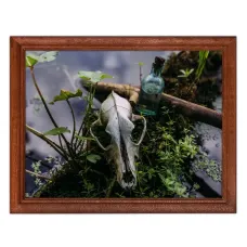 Постер в рамке 22х17см Череп на болоте POSG-0077