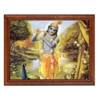 Постер в рамке 22х17см Кришна POSG-0128