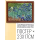 Постер в рамке 22х17см Винсент Ван Гог - Ирисы (1889) POSG-0144