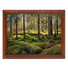 Постер в рамке 22х17см Иван Иванович Шишкин - Старый валежник. Лесное кладбище (1893) POSG-0154