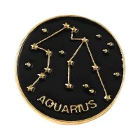 Значок Знаки Зодиака Водолей, d.2,5см ZN104-09