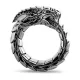Кольцо Уроборос, тёмный металл, размер 11 KL147-11
