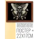 Постер в рамке 22х17см Мотылёк мёртвая голова POSG-0217