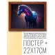 Постер в рамке 22х17см Космический конь POSG-0222