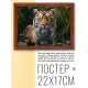 Постер в рамке 22х17см Тигр POSG-0272