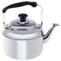 Чайник из нержавеющей стали 5 л без свистка TM Appetite