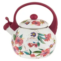 Чайник эмалированный со свистком Гибискус ТМ Appetite 2 л
