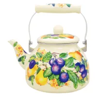 Чайник эмалированный Дюшес ТМ Appetite 2.5 л