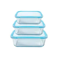 Набор контейнеров стеклянных прямоугольных 3 предмета 370 мл, 640 мл, 1.04 л синий ТМ Appetite