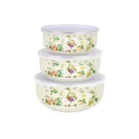 Набор мисок эмалированных 3 предмета пластиковая крышка Фруктовый сад TM Appetite