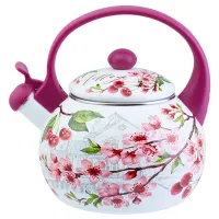 Чайник эмалированный 2 л со свистком Вишня ТМ Appetite