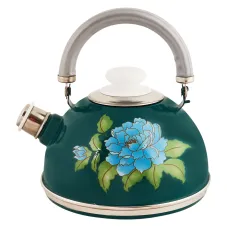 Чайник эмалированный 2.5 л подвижная ручка бирюзовый орхидея