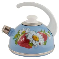 Чайник эмалированный 2.5 л конс/руч серо-голуб клуб с ромашкой