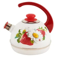 Чайник эмалированный 3.5 л конс/руч бел клуб с ромашкой