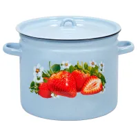 Кастрюля эмалированная с рисунком - Лысьвенские Эмали 9 л